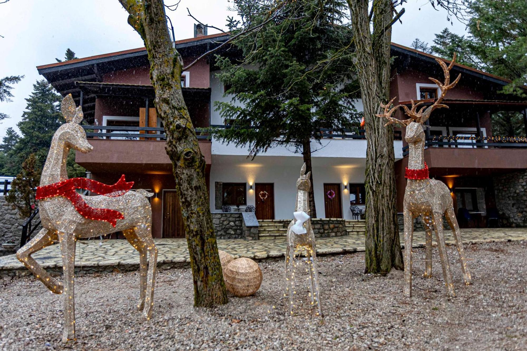 Отель Mz Reindeer Kalivia  Экстерьер фото