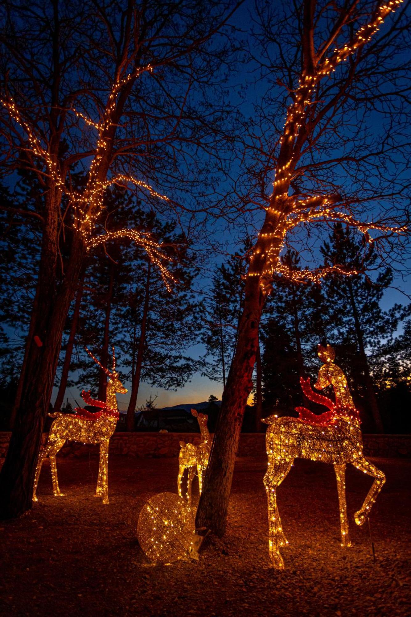 Отель Mz Reindeer Kalivia  Экстерьер фото